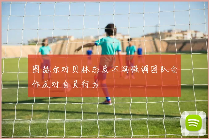 图赫尔对贝林态度不满强调团队合作反对自负行为