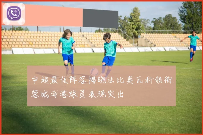 中超最佳阵容揭晓法比奥瓦科领衔蓉城海港球员表现突出