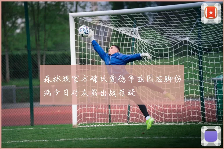 森林狼官方确认爱德华兹因右脚伤病今日对灰熊出战存疑