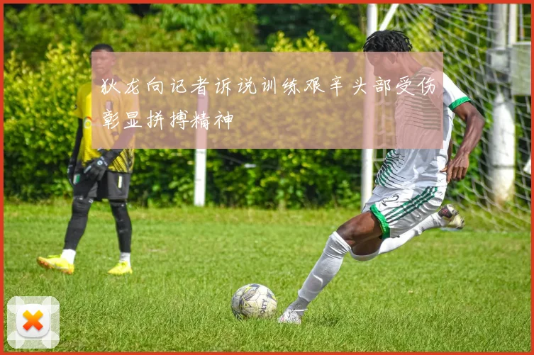 狄龙向记者诉说训练艰辛头部受伤彰显拼搏精神
